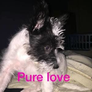 Meet your Posher, Tina